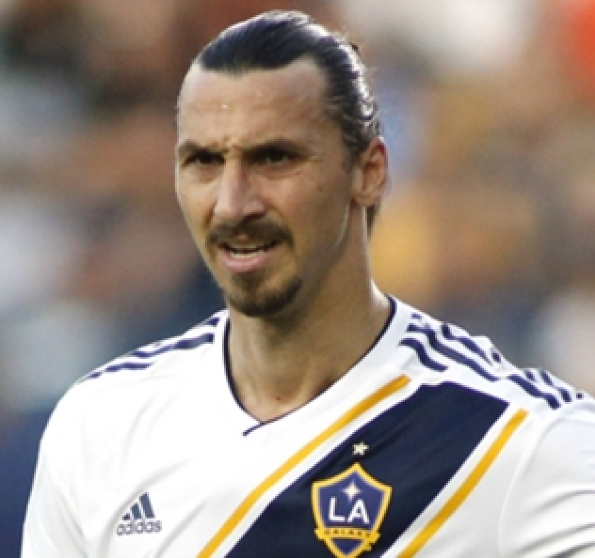 Zlatan Ibrahimovic Date Of Birth Age Horoscope Weight