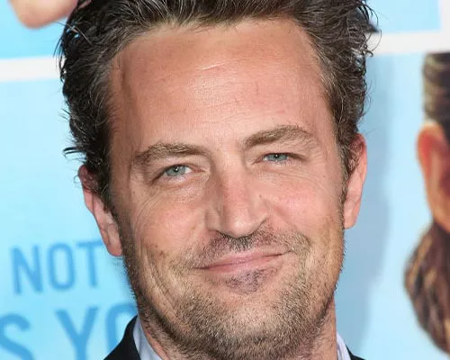 Matthew Perry Got Engaged to Molly Hurwitz